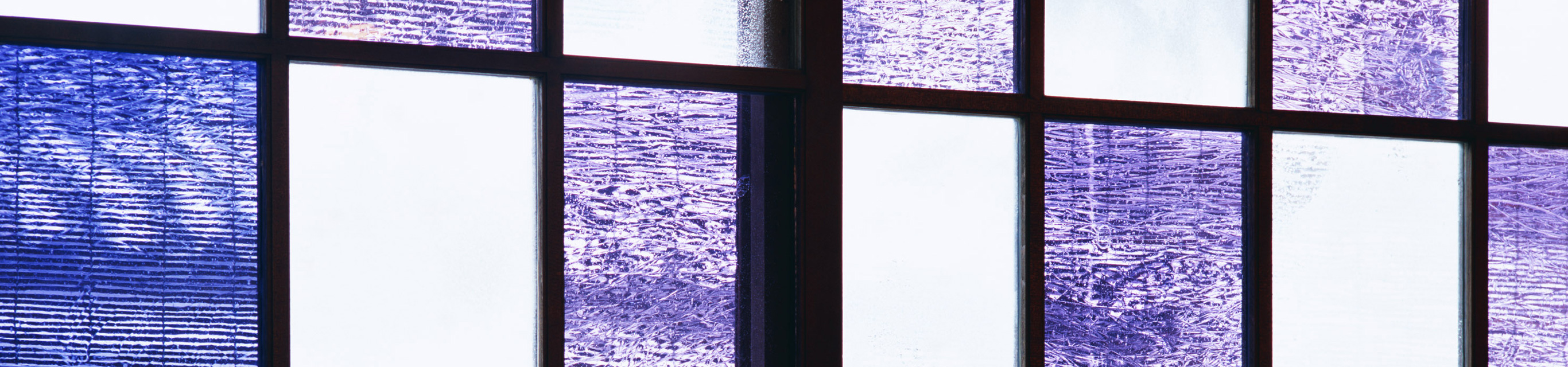 Séjour linguistique à Tokyo